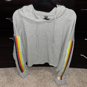 Gray Cropped Sweatshirt